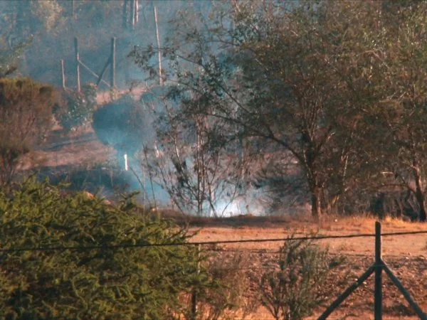 Verano 2024: una prueba de fuego
