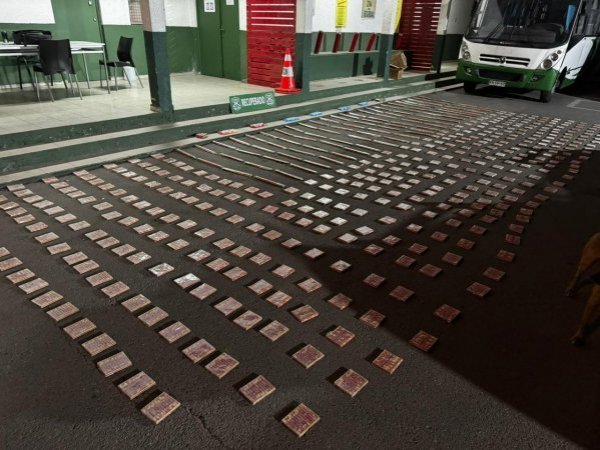 Previo al Año Nuevo 2024: Decomisan más de 10 mil fuegos artificiales