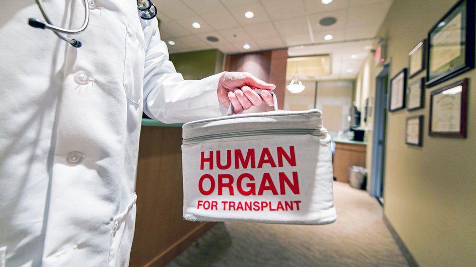 Donación de órganos