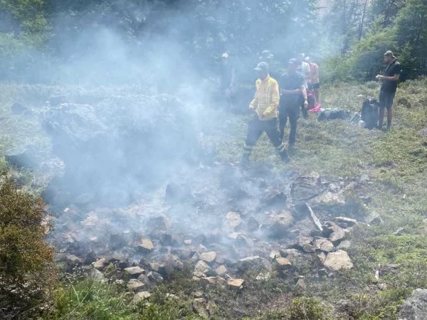 Incendio en parque Patagonia