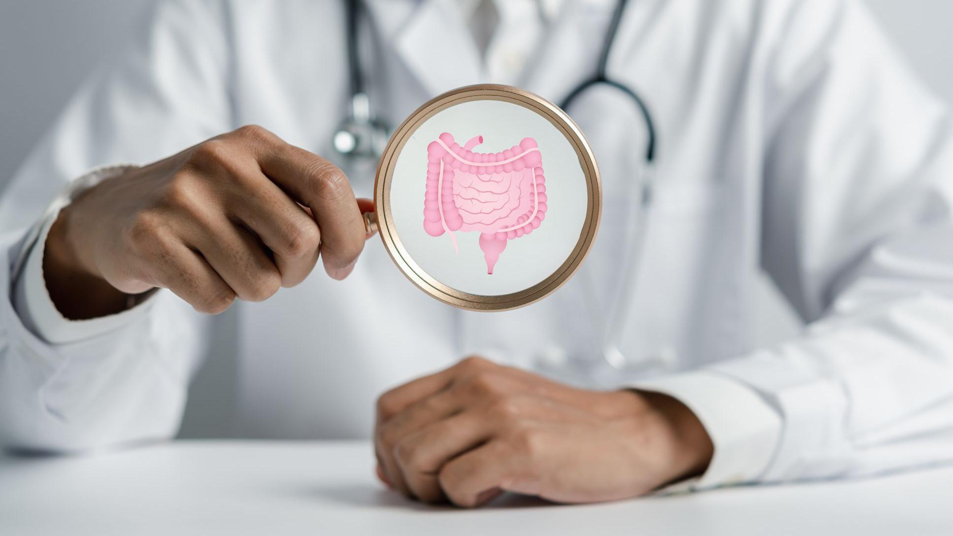 Un doctor sostiene una lupa con el aparato digestivo  en el centro