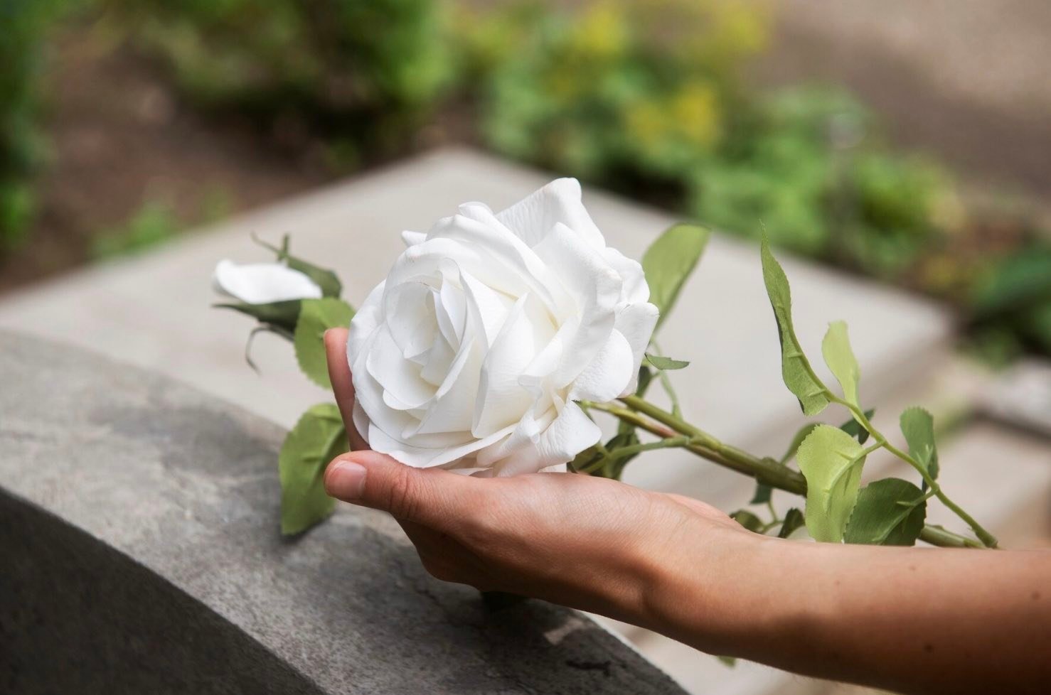Flor en el cementerio. Condolencias.