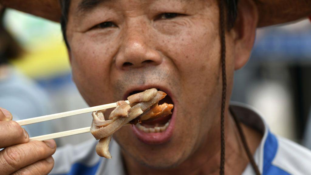 Un criador de perros surcoreano come carne de perro durante una contramarcha en protesta al proyecto de ley.