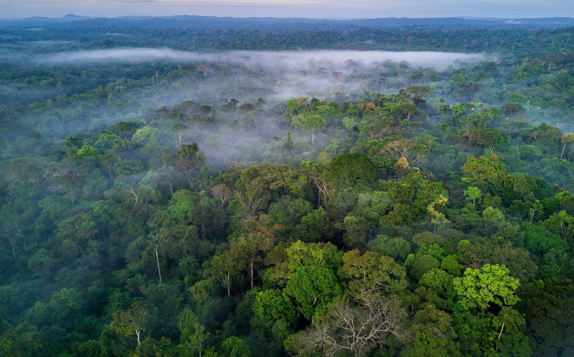 El amazonas