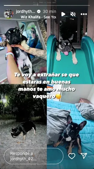 Despedida de Jordhy Thompson a su perro