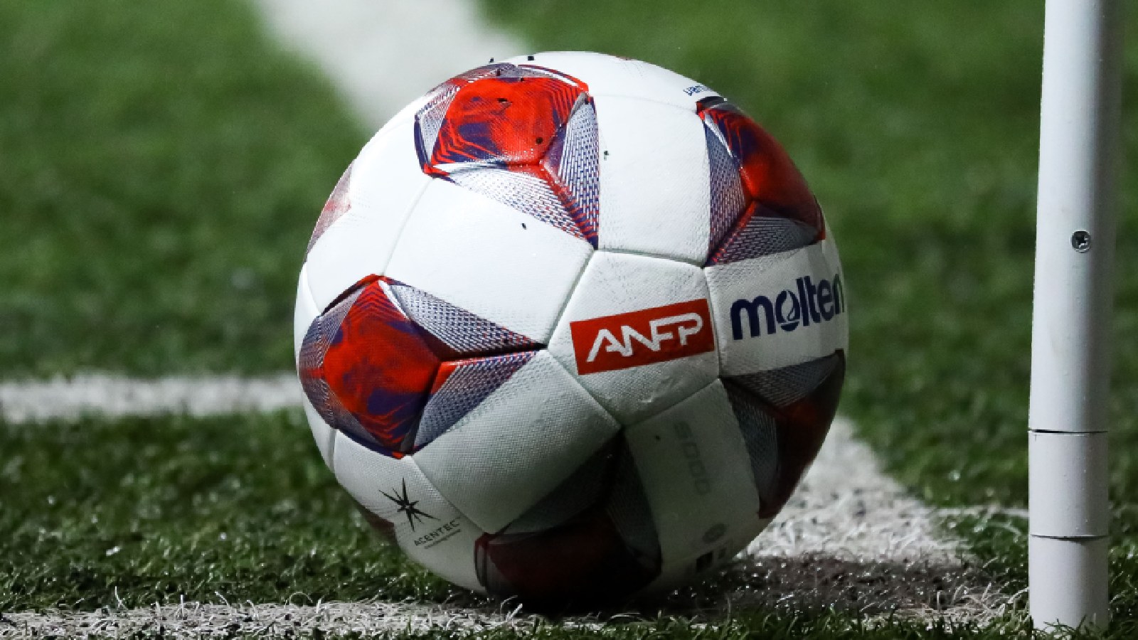 Cuándo empieza el Torneo Nacional 2024 24horas