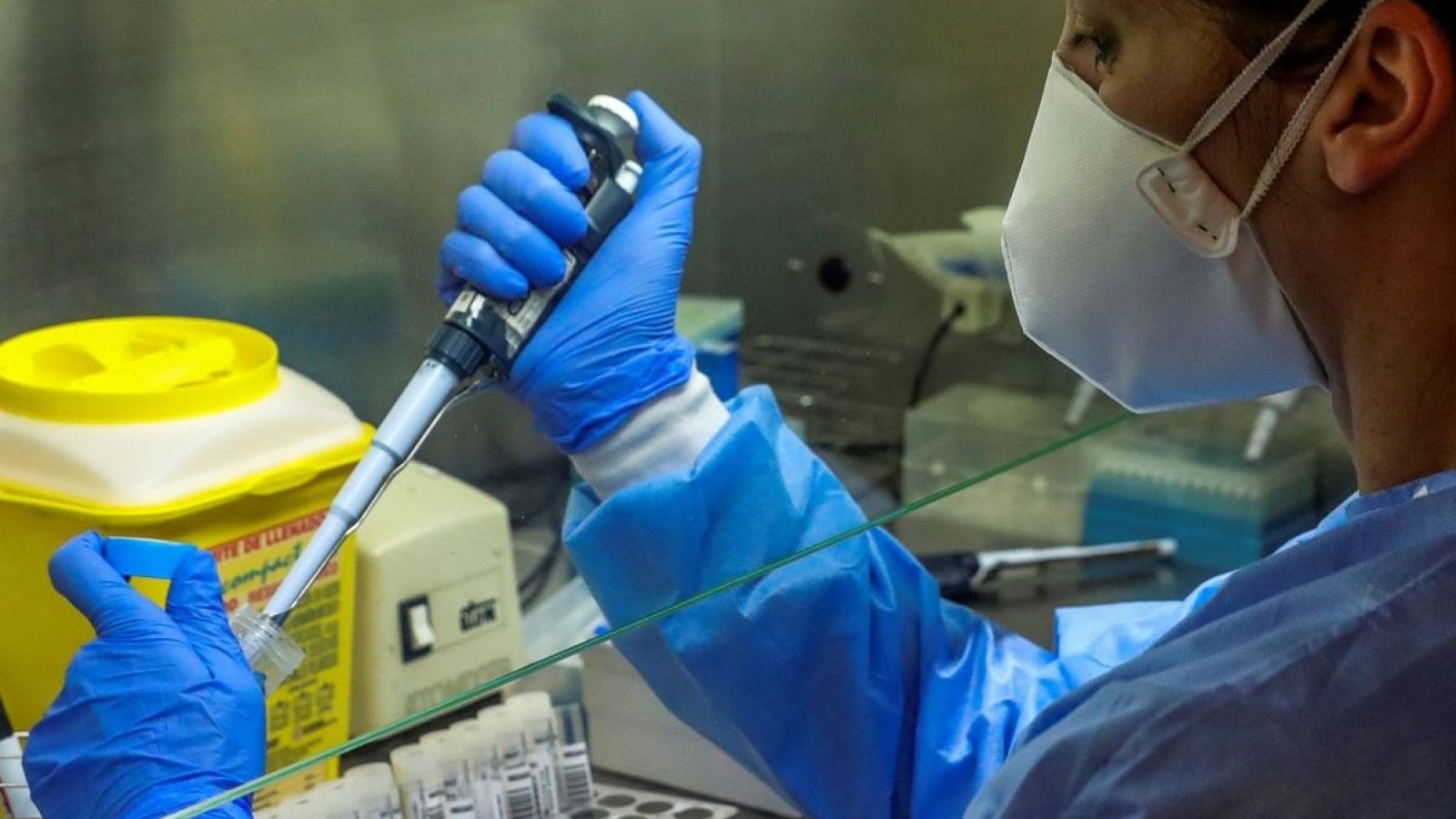 Científicos critican experimento de cepa "mutante" del COVID-19 con 100% de mortalidad