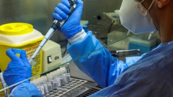 Científicos critican experimento de cepa 