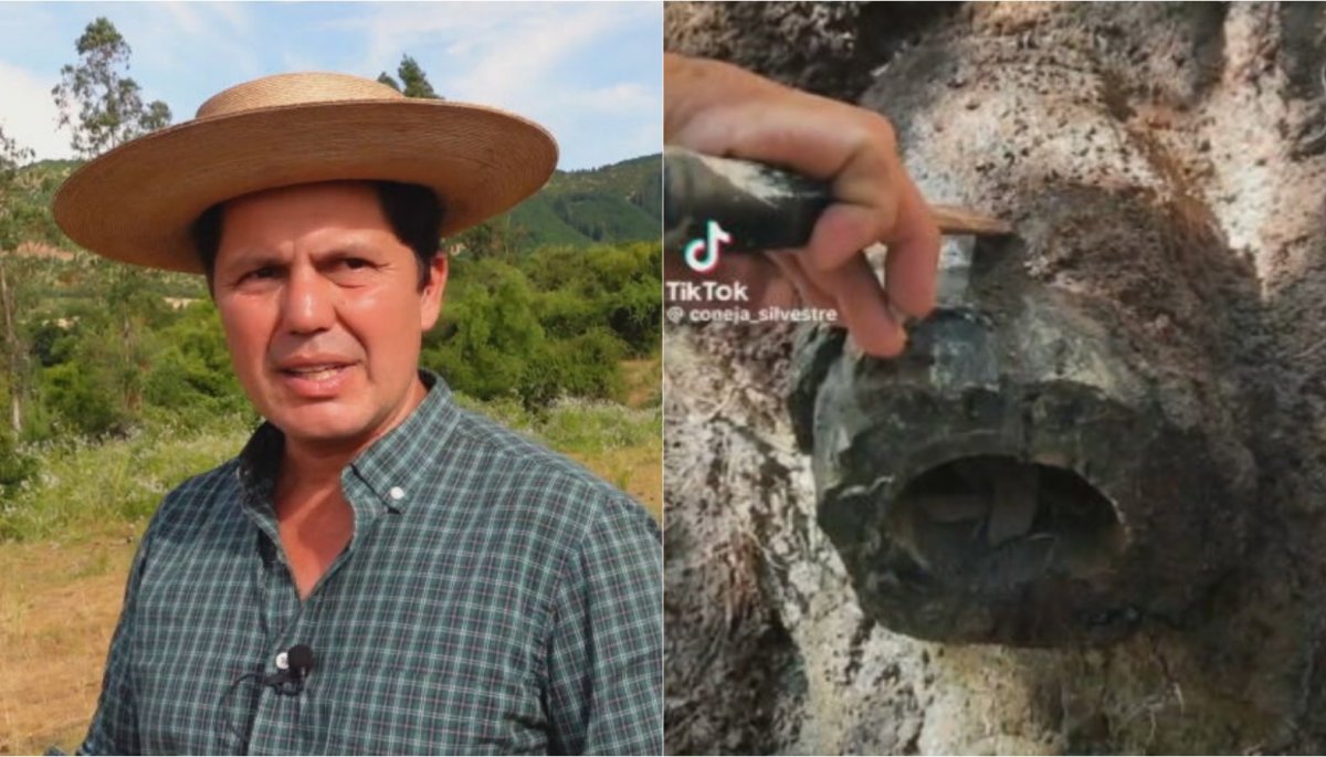 Hombre encontró mastodonte de 12 mil años en su fundo en Talca | 24horas