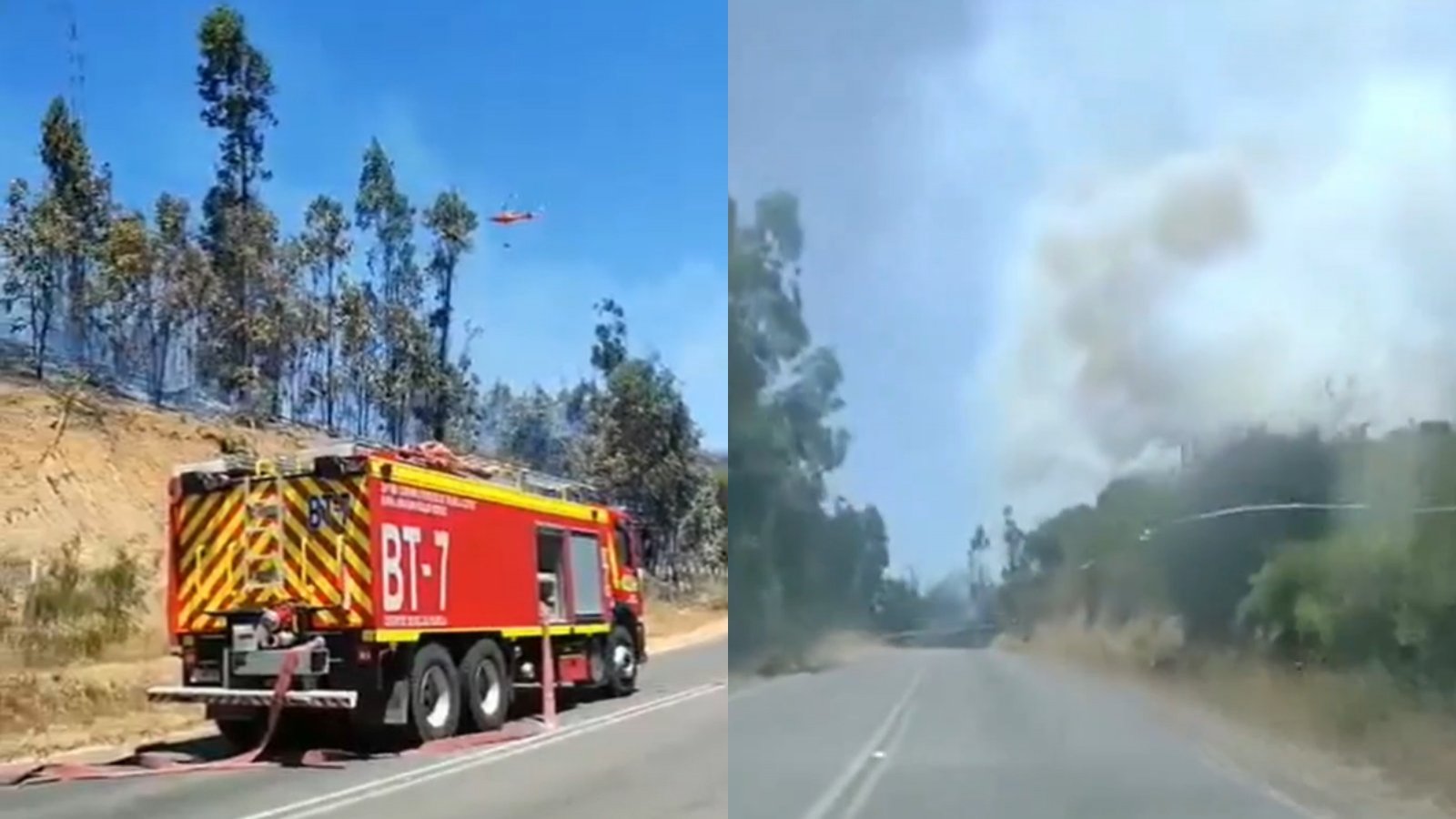 Senapred: Comuna de Pumanque es declarada en Alerta Roja por incendio forestal