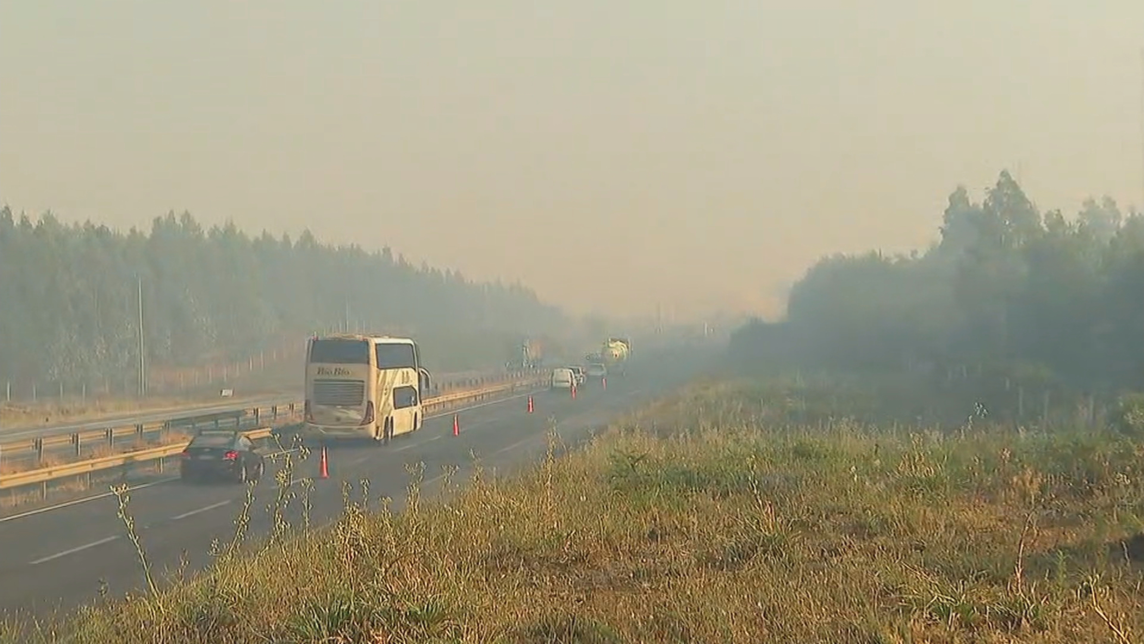 Incendio forestal se registró en el sector de Pidima
