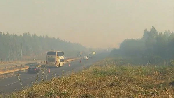 Incendio forestal genera alerta en comuna de Ercilla: se acerca a Ruta 5 Sur