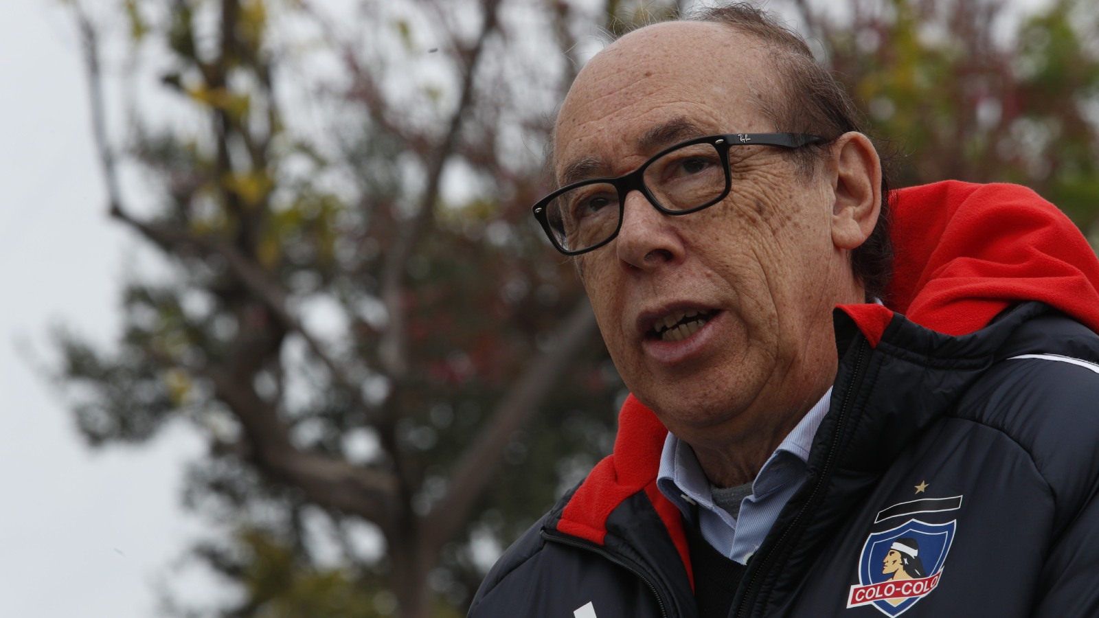 Alfredo Stöhwing, presidente de Colo Colo