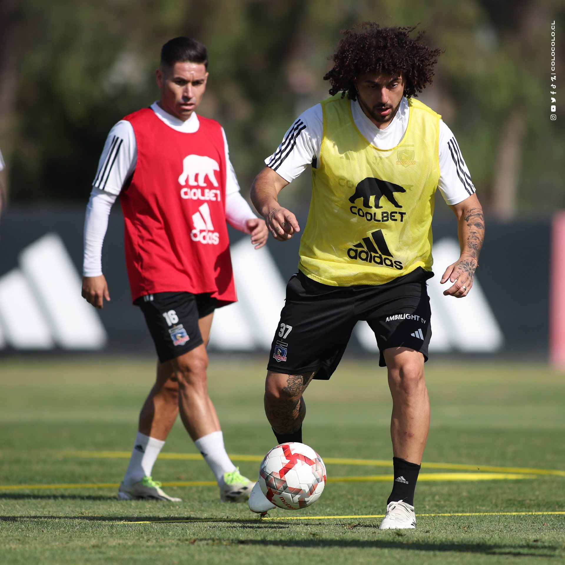 Maximiliano Falcón entrenando con Colo Colo