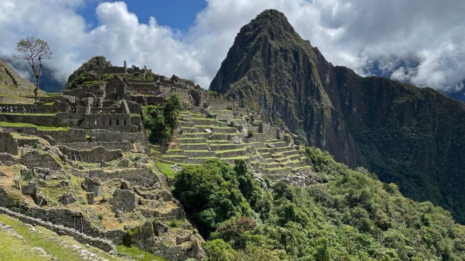 Paro en Machu Picchu