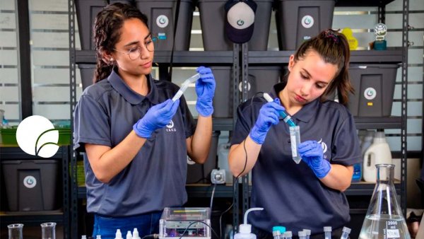 Yaku, Biofiltro, Chile, 2024.