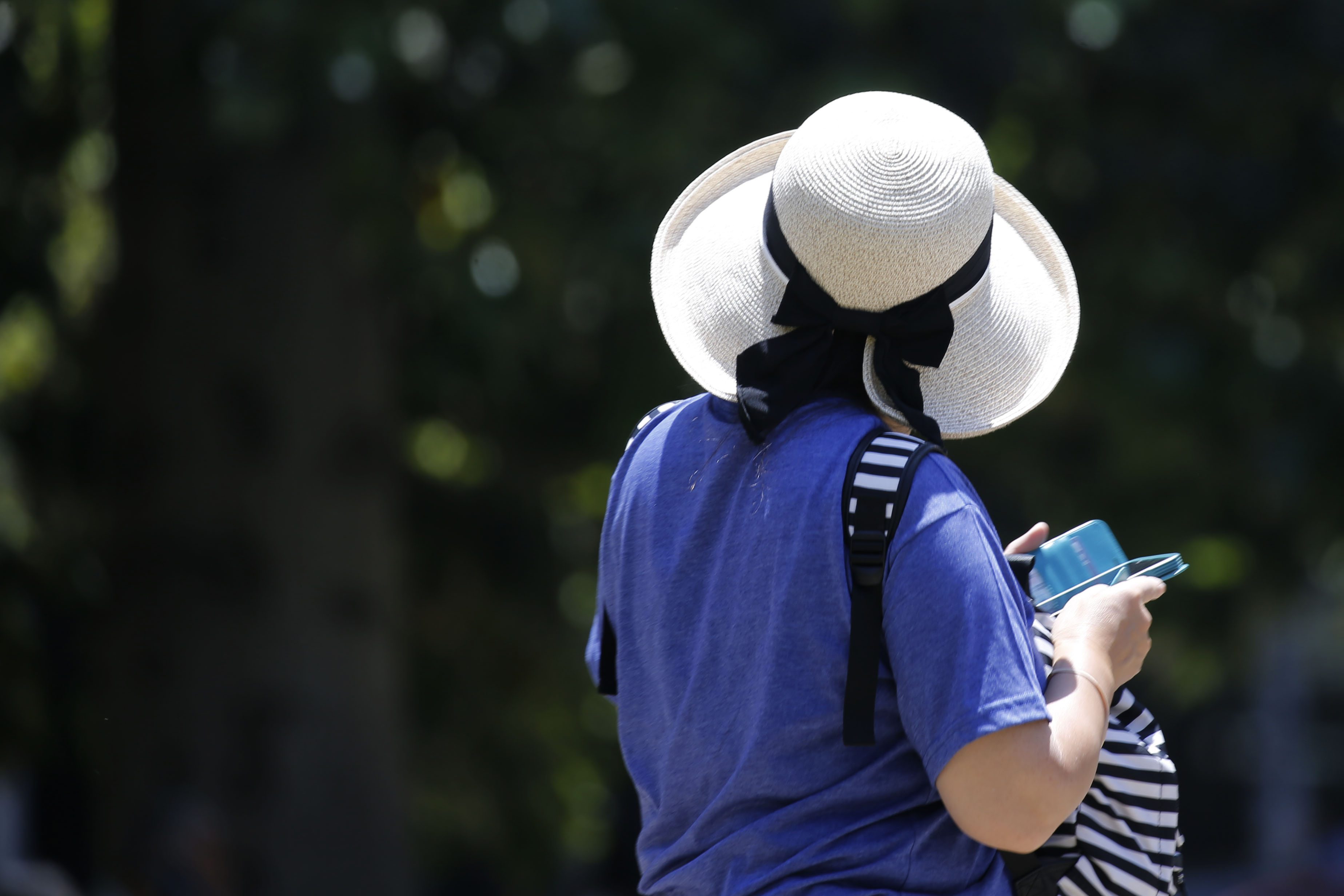 Temperatura extrema y calor.