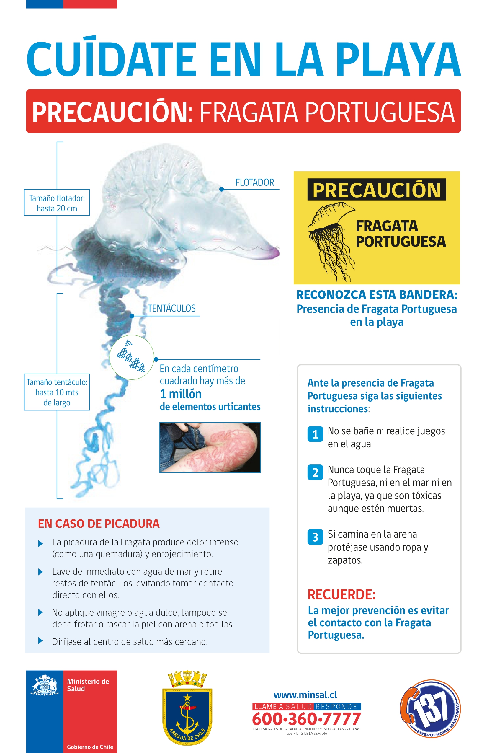 Fragata portuguesa: ¿Qué hacer en caso de picadura?