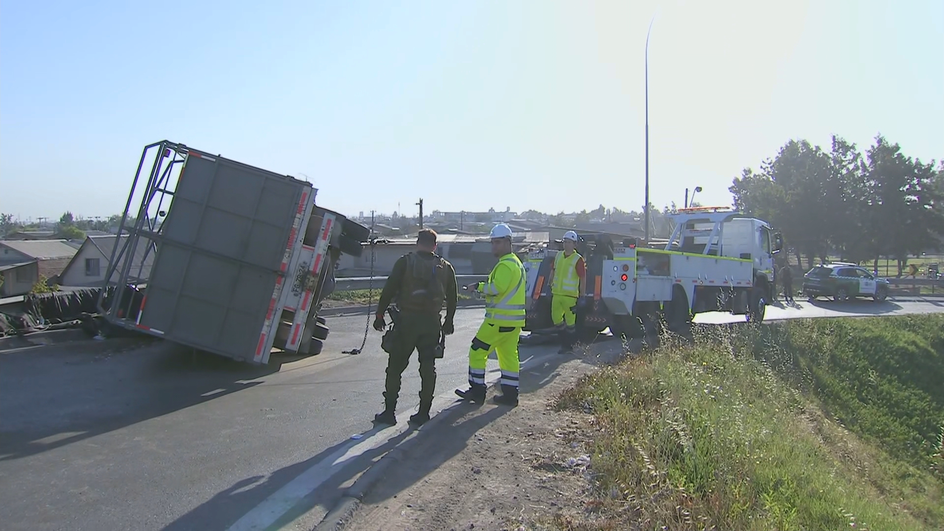 Accidente de camión con vacas.