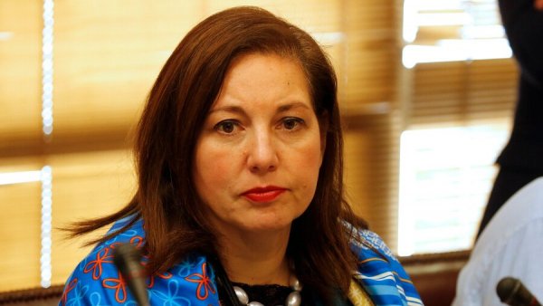 Senadora Vodanovic por citación al COSENA: 