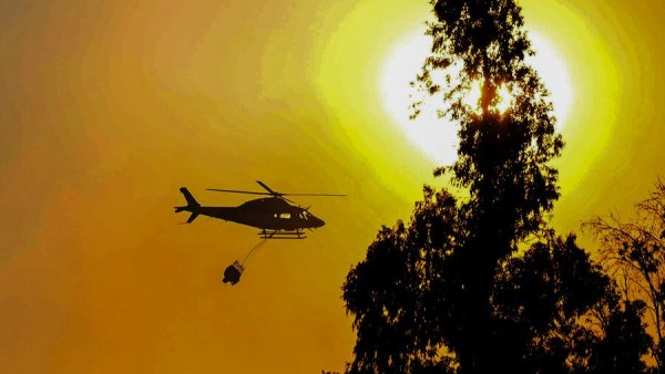 Incendios forestales y ola de calor