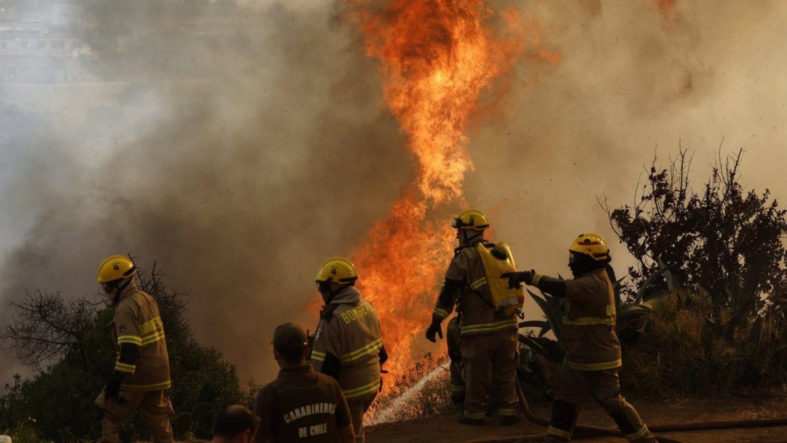 Alcaldes piden no pago de servicios básicos por incendios