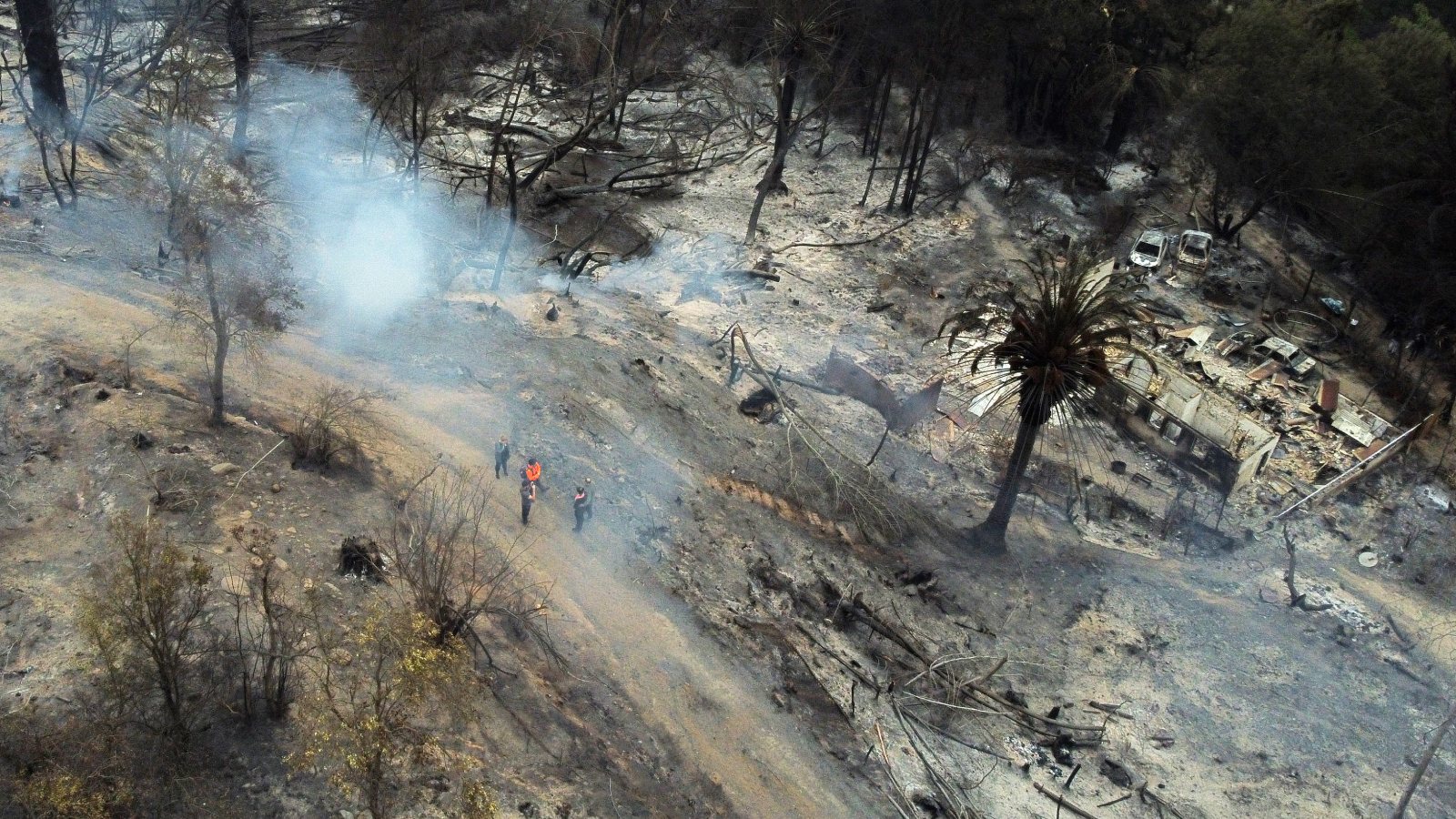 Incendio forestal afectó al Jardín Botánico de Viña del Mar