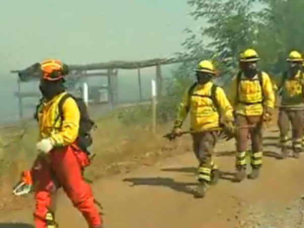 Incendio en galvarino y chol chol