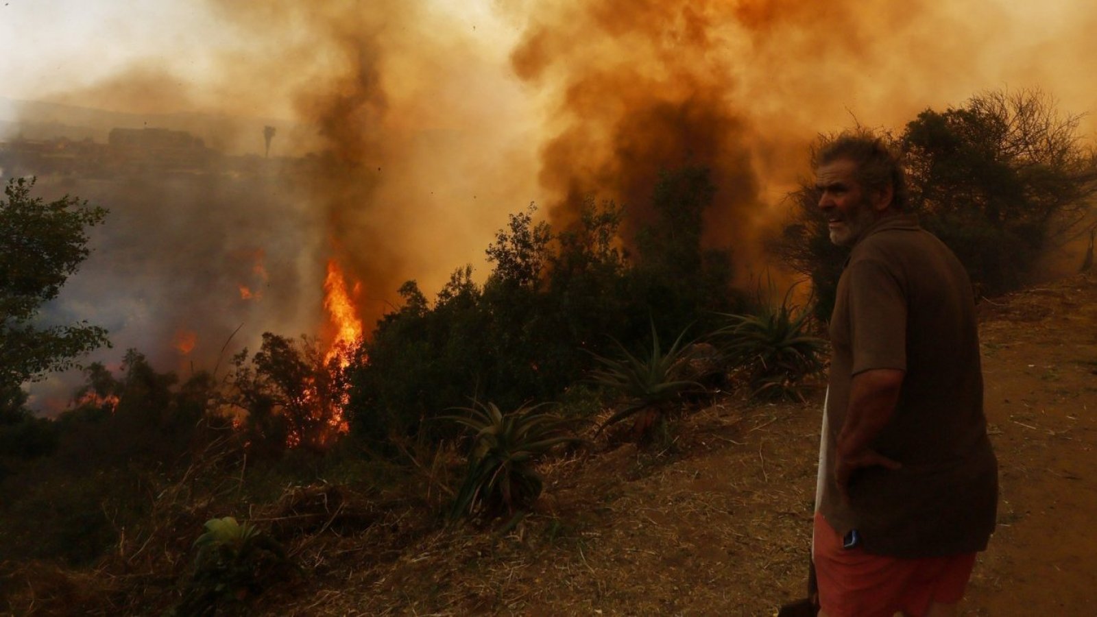 CPC pide no descuidar regiones de O’Higgins y Araucanía por incendios forestales