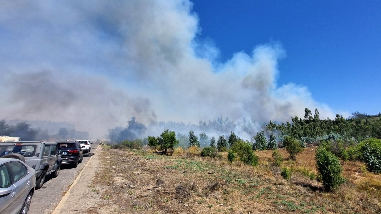 Fiscalía investiga incendio de Peñuelas.