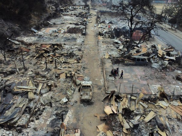 Consecuencias de los incendios en Viña del Mar.