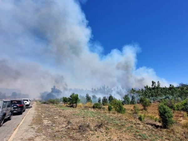 Fiscalía investiga incendio de Peñuelas.
