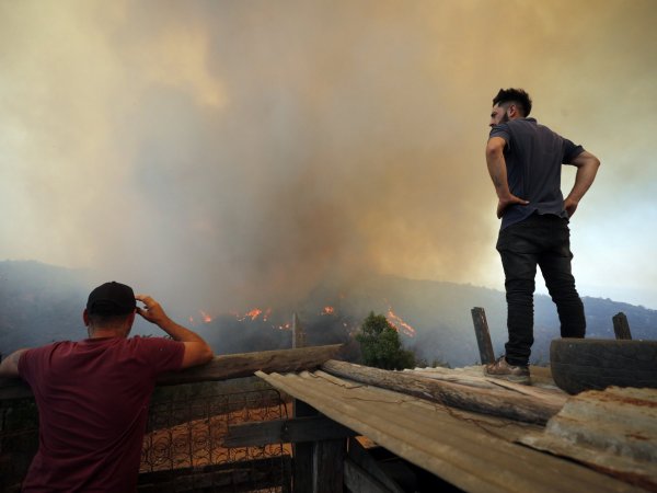 Investigan intencionalidad.