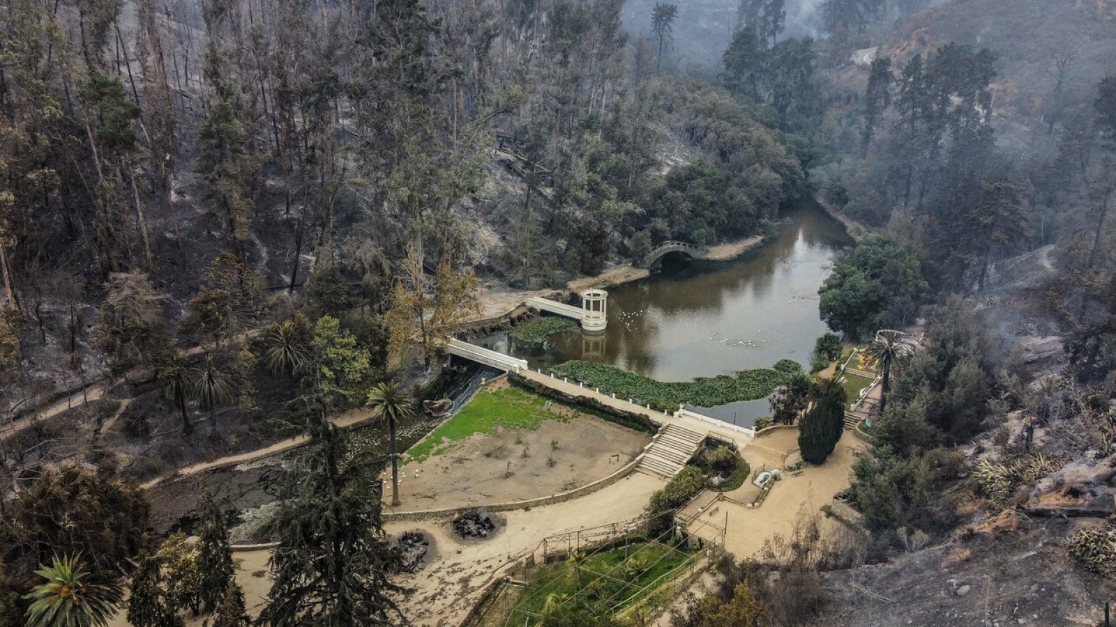 Incendio Jardín Botánico