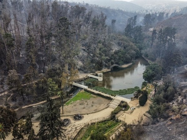 Incendio Jardín Botánico