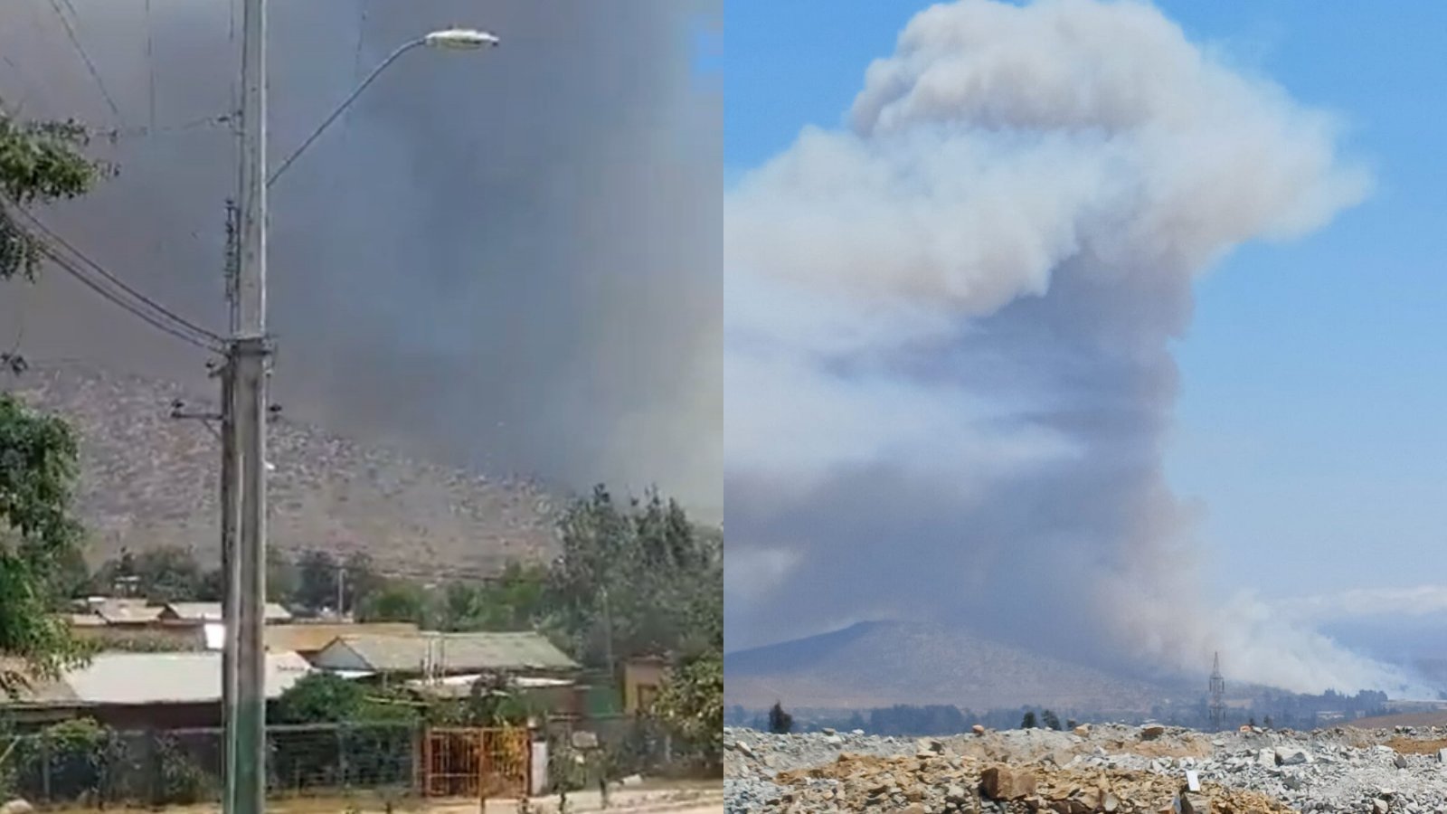 "Activo con avance rápido": Alerta Roja en comuna de Papudo por incendio forestal