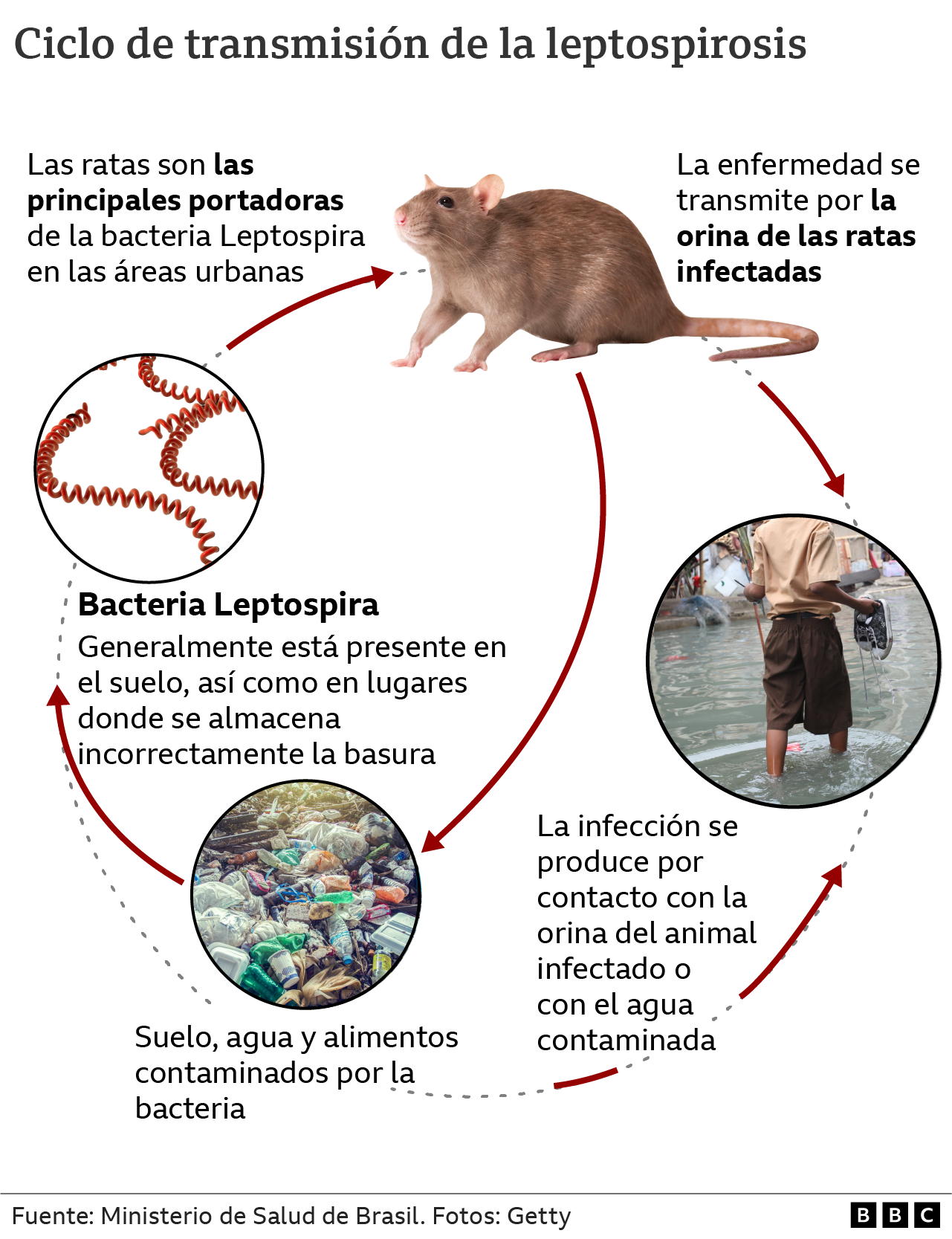 Gráfico