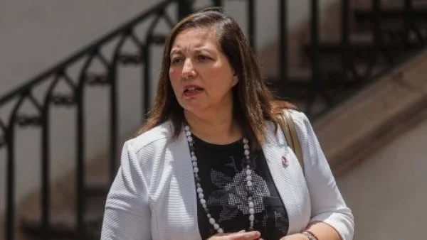Paulina Vodanovic, presidente del PS.