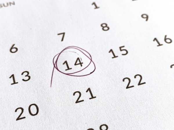 Feriados en Chile 2024.