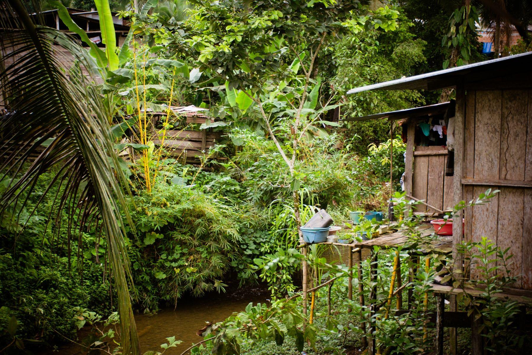 Una cabaña de madera frente a un río en la selva de Colombia