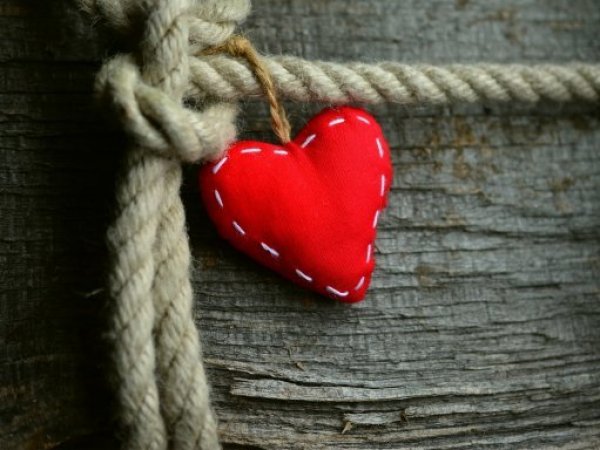 Frases de Día del amor, 14 de febrero.