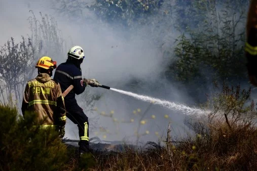 Incendio forestal