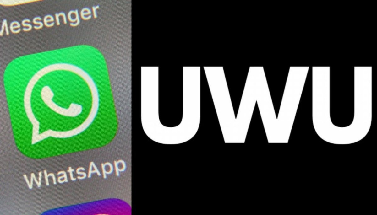 ¿Qué significa UwU? 24horas