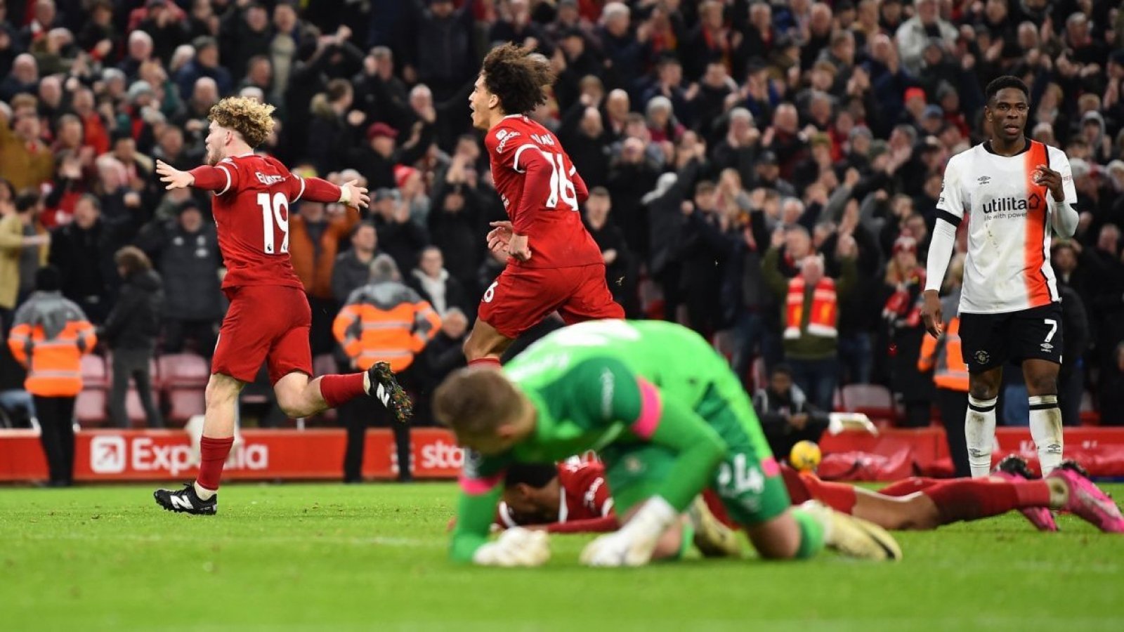 Rojos liverpool deals