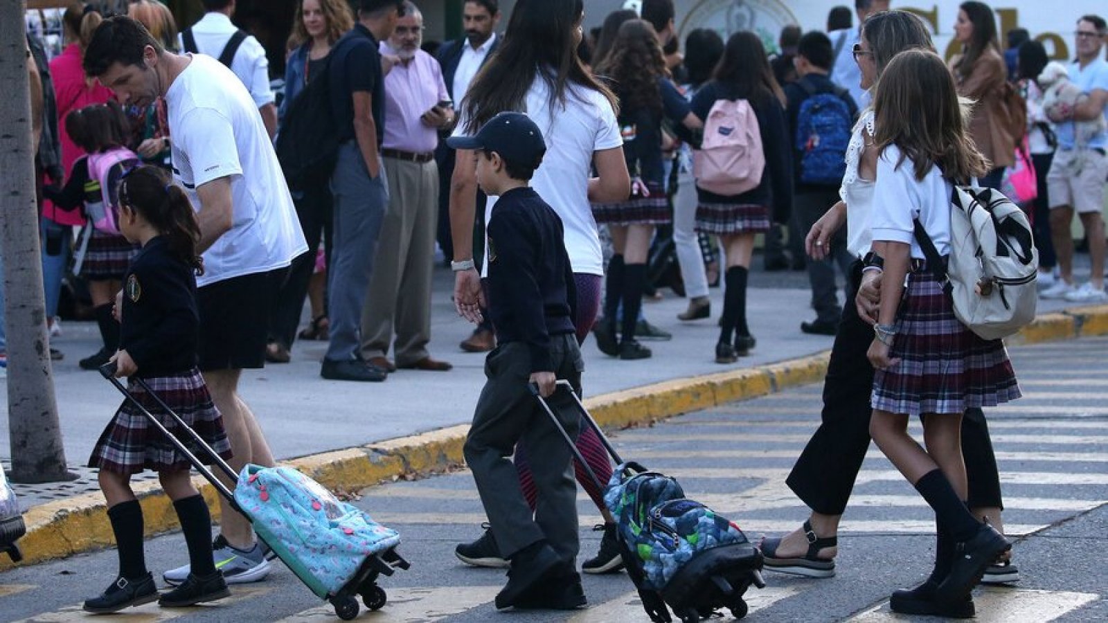 Buscador de uniformes escolares