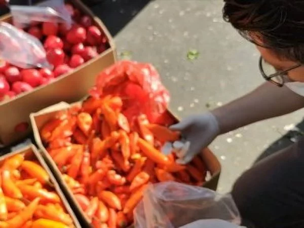 Contrabando de alimentos, la nueva mafia del crimen organizado