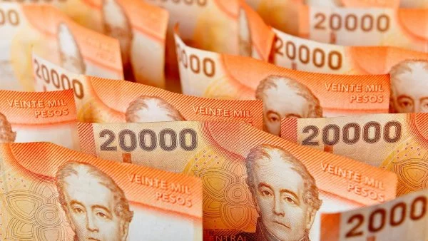 Seguro de Cesantía: los beneficios para pensionados