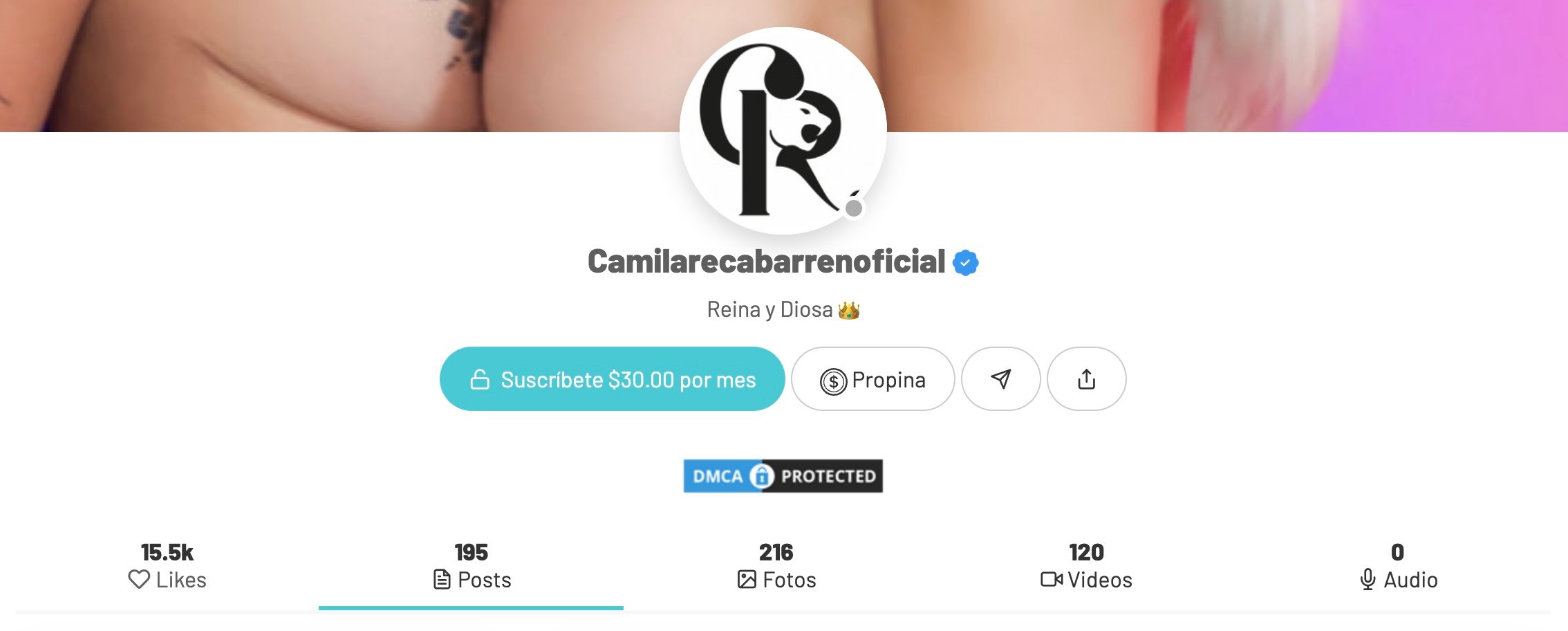 Camila recabarren arsmate