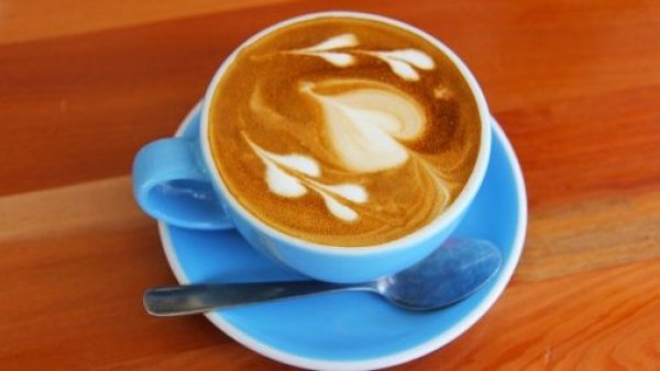 Receta de café flat white.