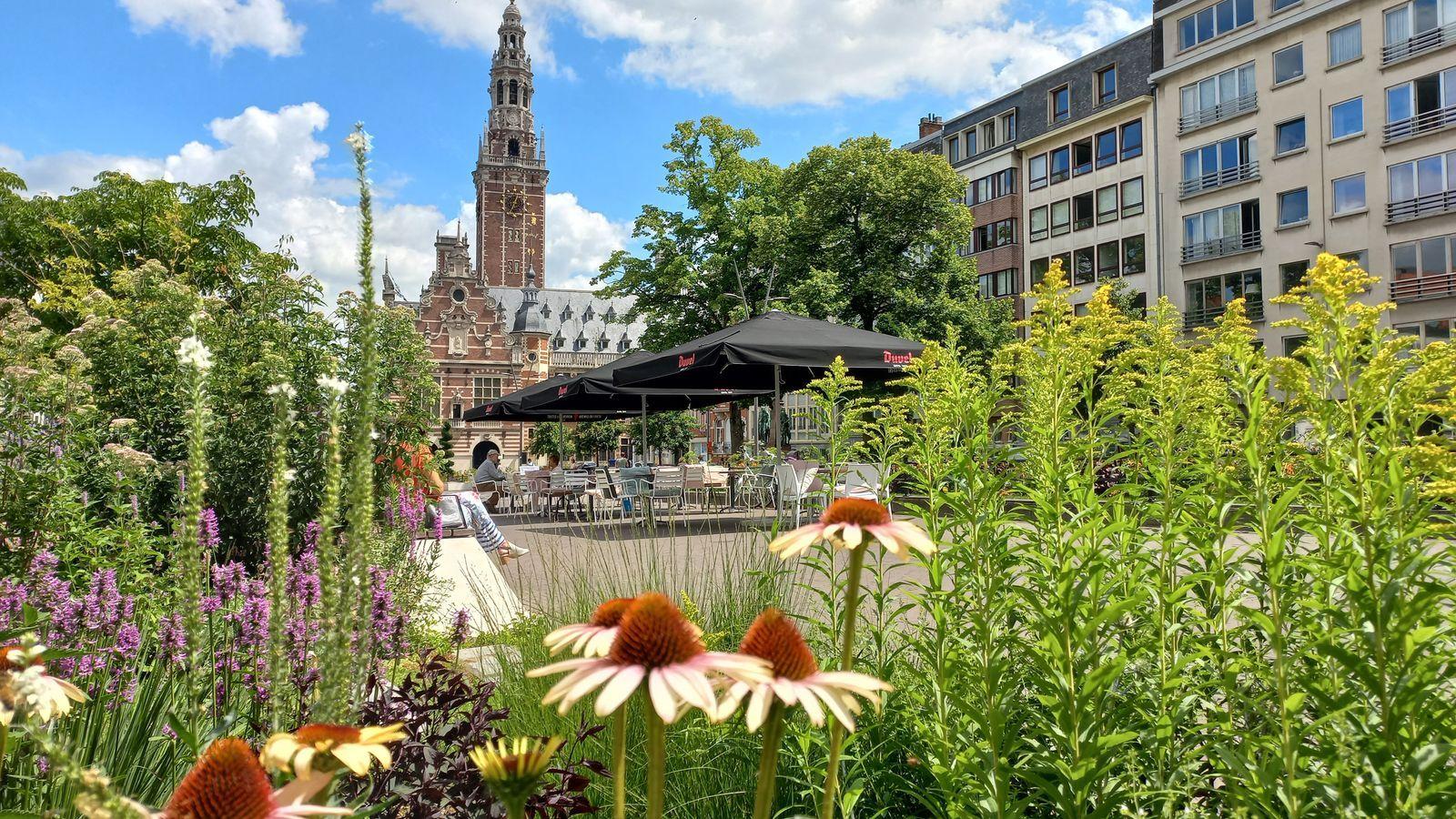 Jardín en medio de la ciudad